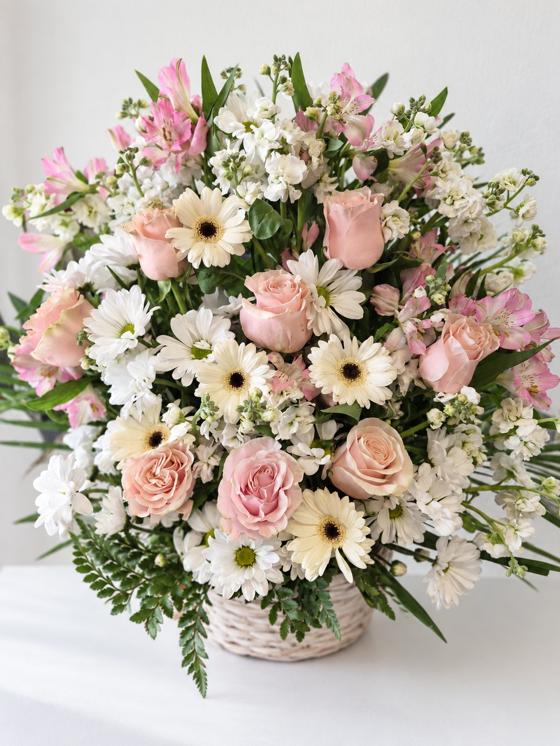 Blush Garden