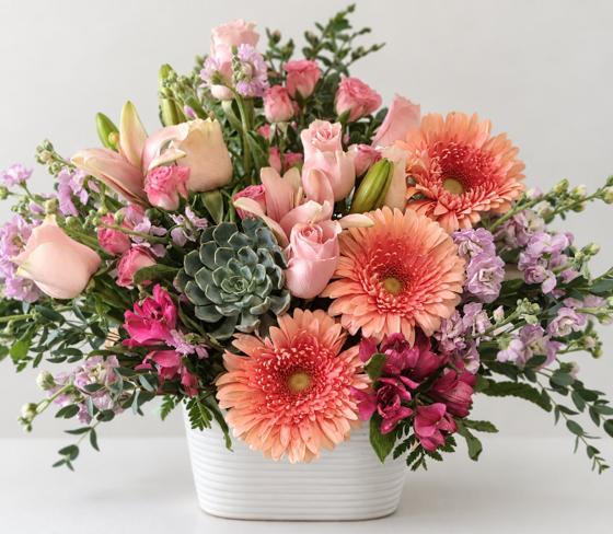 Gerbera Glow