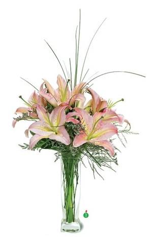 Stunning Lilies